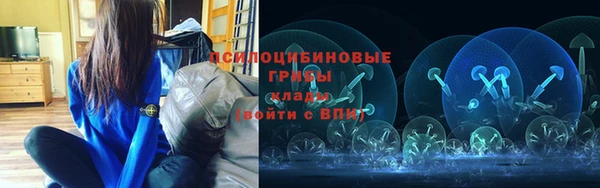 apvp Алексеевка