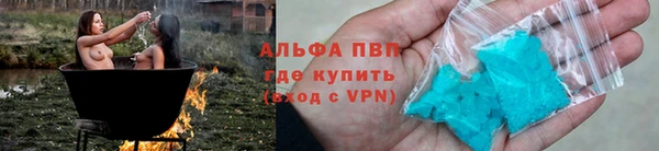 спиды Покачи