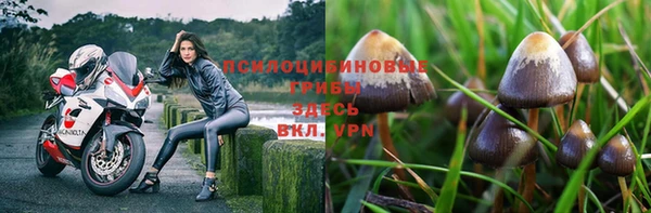 бошки Алексин