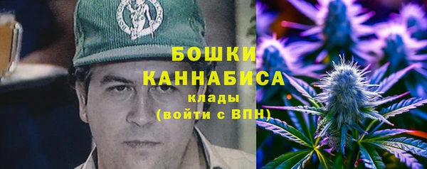 прущие грибы Абдулино