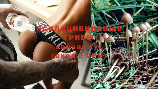 спиды Покачи
