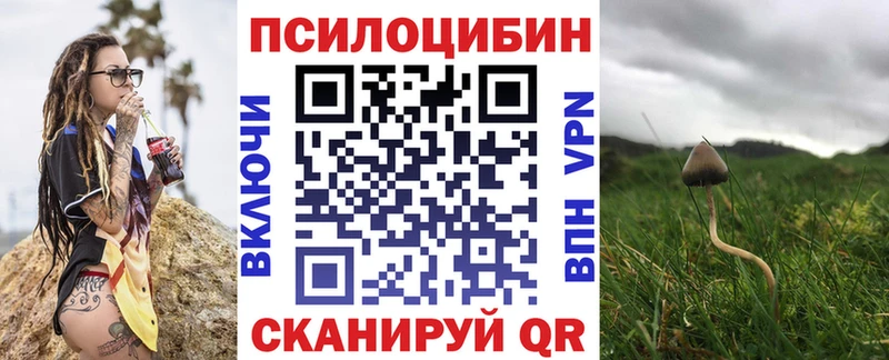 Галлюциногенные грибы Cubensis  Болохово 